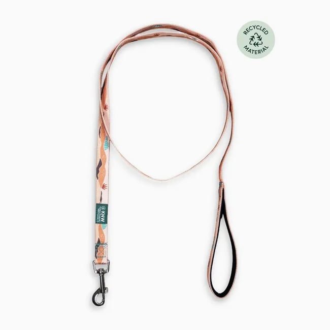 Recycled Dog Collar Sonaron