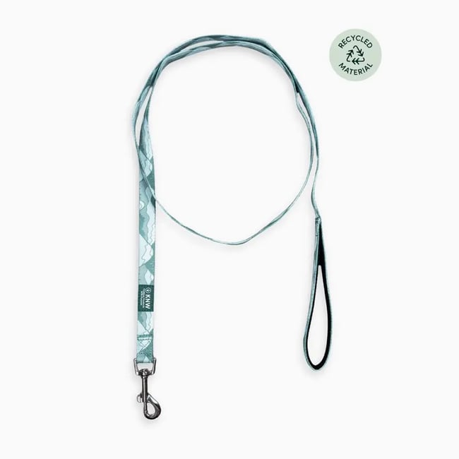 Recycled Dog Collar Alpine