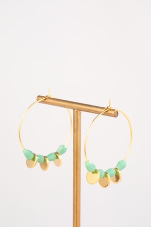 Image of Aros Agosto OOO