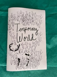 Image 1 of Temporary World