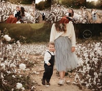 Image 2 of The Cotton Sessions - Pre booking