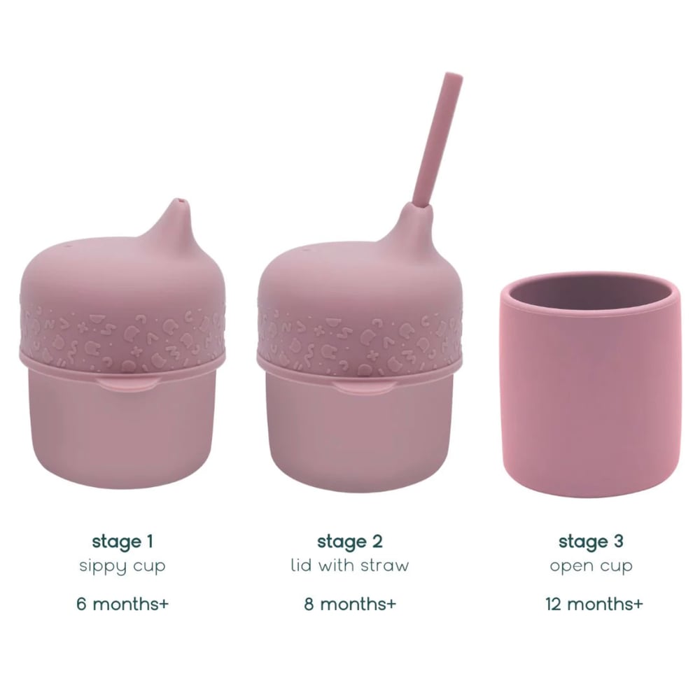 20% OFF We Might Be Tiny Sippie Cup Set Dusty Rose