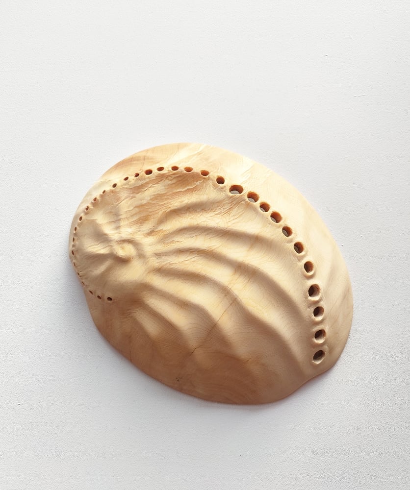 Image of Abalone Shell bowl