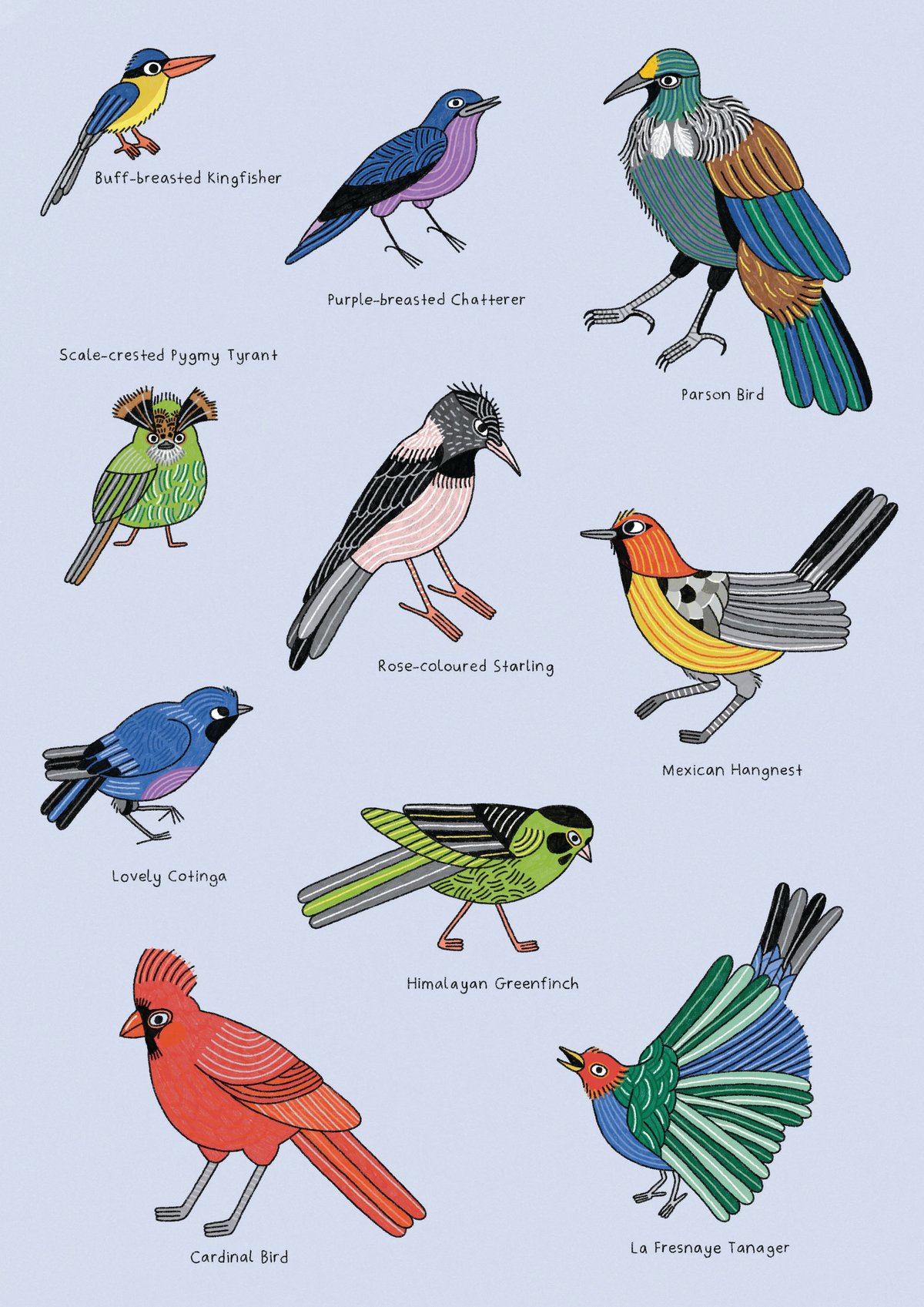 Image of A Random Collection of Birds Print