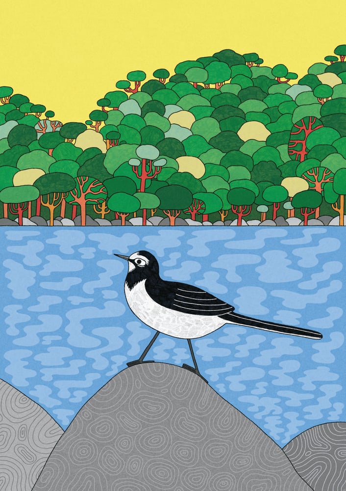 Image of Japanese Wagtail Print