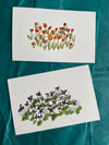 tulip & violet watercolors