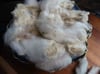 Panama - Washed Fleece