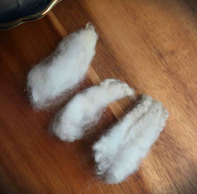 Panama Washed Fleece Fossil Fibers