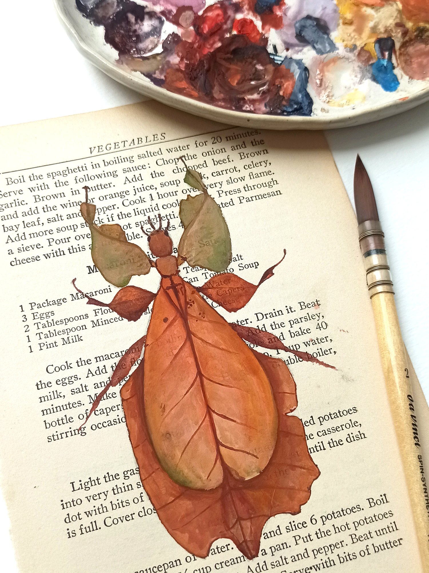 Image of Life in Old Pages Insect n. 16 Brown Leaf Insect