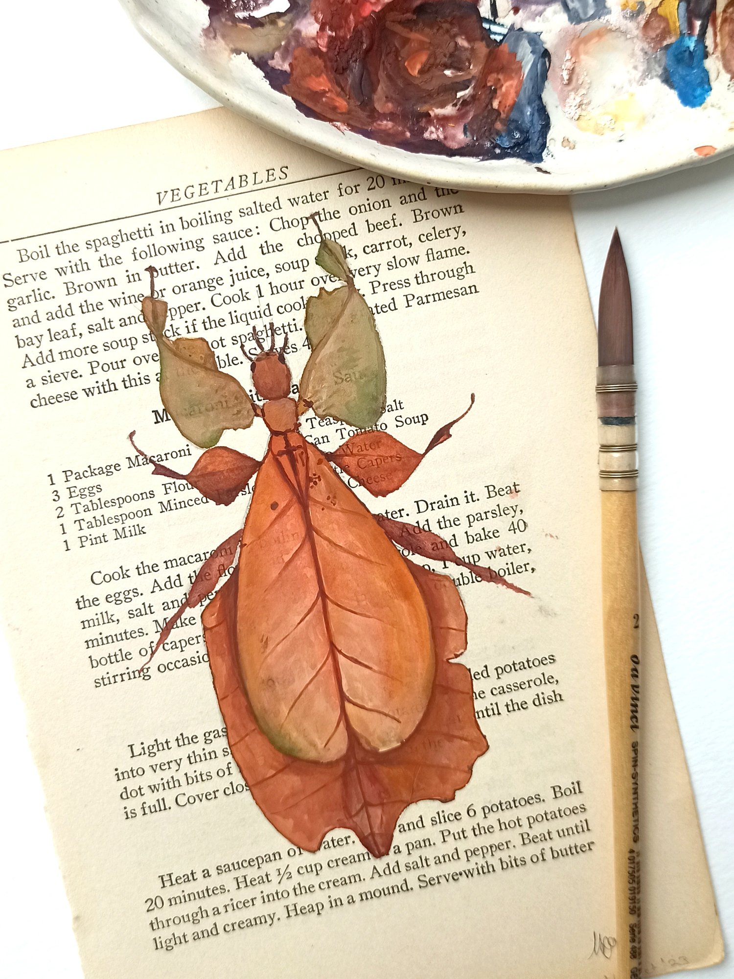 Image of Life in Old Pages Insect n. 16 Brown Leaf Insect