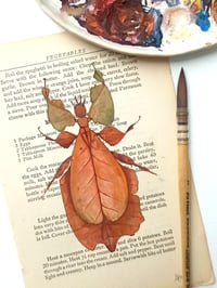 Image 4 of Life in Old Pages Insect n. 16 Brown Leaf Insect