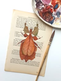 Image 1 of Life in Old Pages Insect n. 16 Brown Leaf Insect