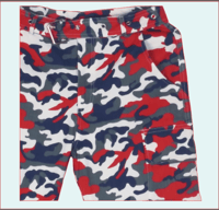Image 3 of Red and Navy Camouflage Pants