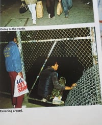 Image 4 of Entering a yard