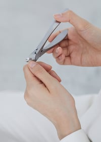 Image 1 of SUWADA Classic Hand Nail Nipper (Since 1926)