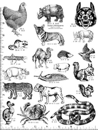 Image 1 of Animal Rubber Stamps P35