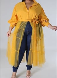 Image 1 of Plus Tulle Shirt Dress