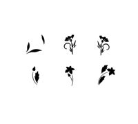 dainty flower pack