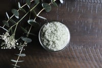 Image 1 of 4 oz small Refresh Sugar Scrub | Cool Herbal Blend