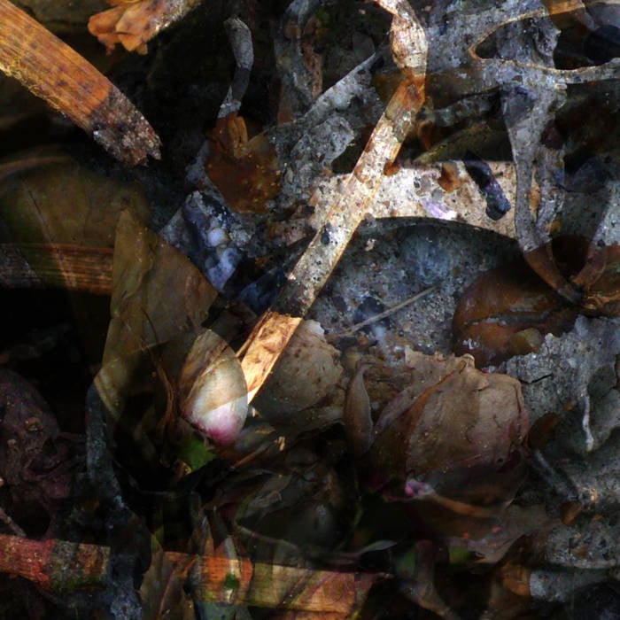 Image of THE RIVER - A Hollow Full Of Hope CD
