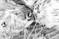 Image 3 of Falewicz