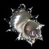 Turbo pendant