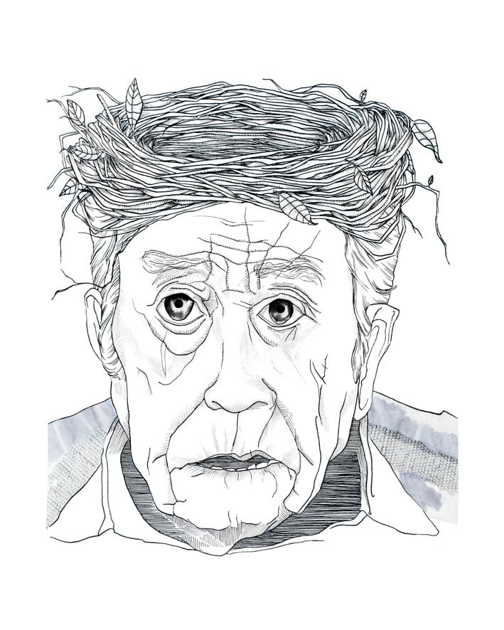 Image of Nid
