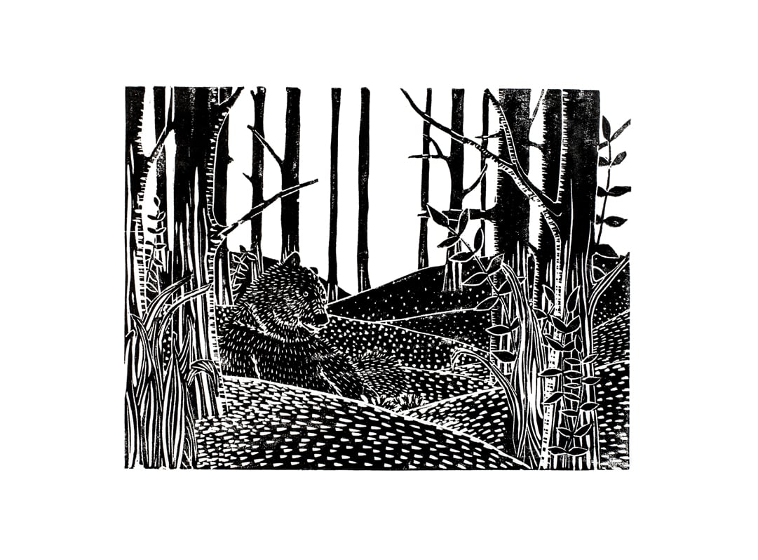 Image of Linogravure • Forest (Ours)