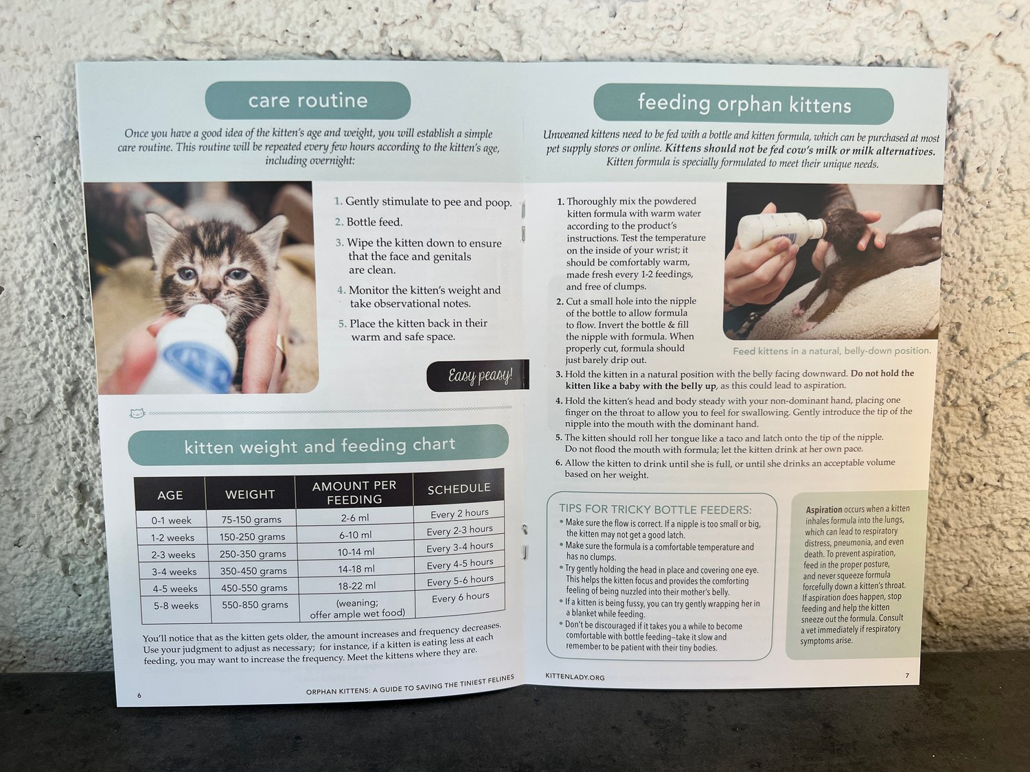 Image of Kitten Care Booklets (Bundle of 25)