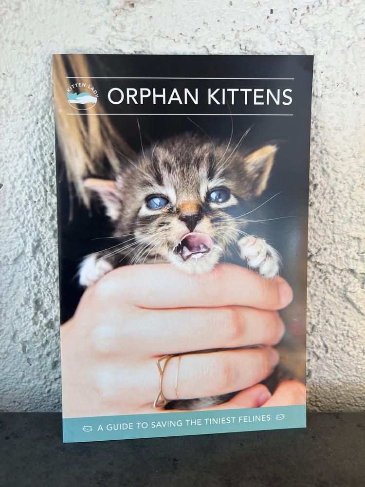 Image of Kitten Care Booklets (Bundle of 25)