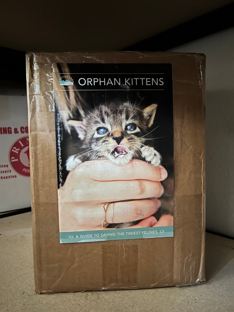 Image of Kitten Care Booklet (Bulk Order of 500 Copies)