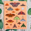 North American Moths JUMBO Sticker Sheet