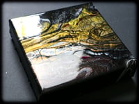 Image 1 of ChaMeLeoNs 6x6"