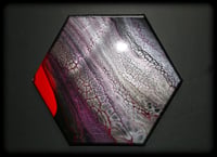 Image 1 of SnaKeSkin 12"