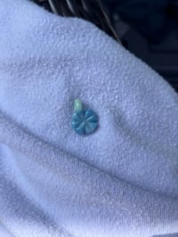 light blue clov