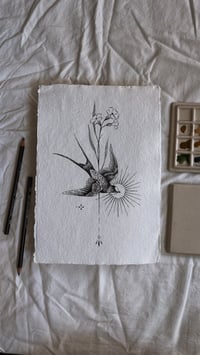 Swallow II - Wannado