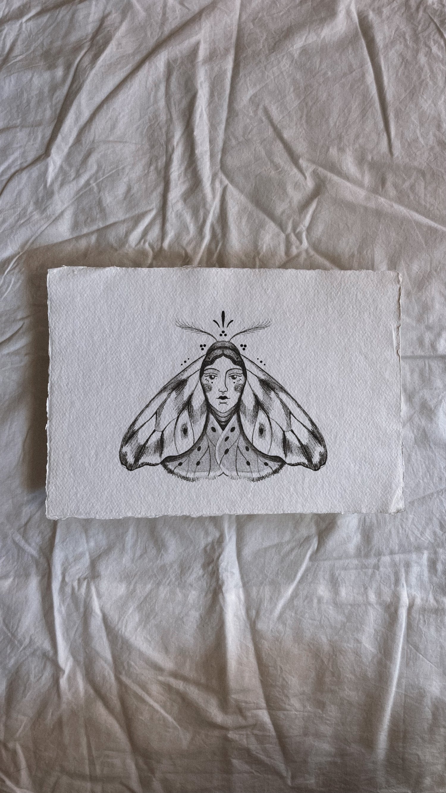 Face moth - Wannado