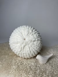 Image 1 of Pouf Pillow