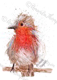 Fatty the Red Robin