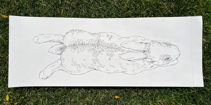 Image of Sleeping Rabbit original ink drawing
