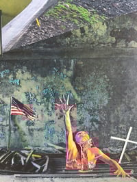 Image 3 of 'Land Of The Free'