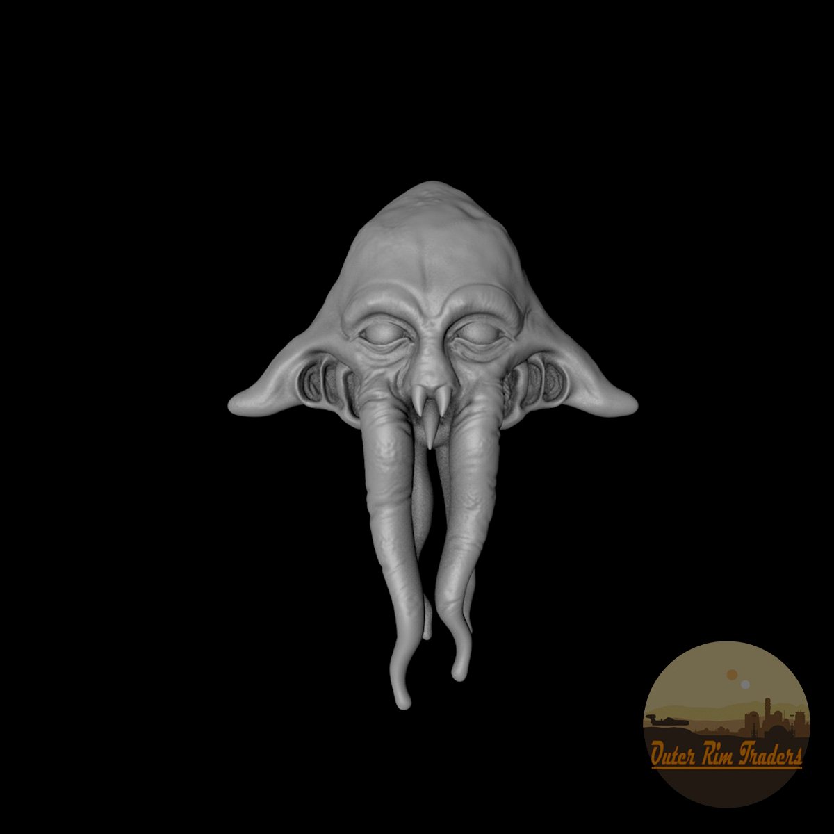 Image of Squid head #3