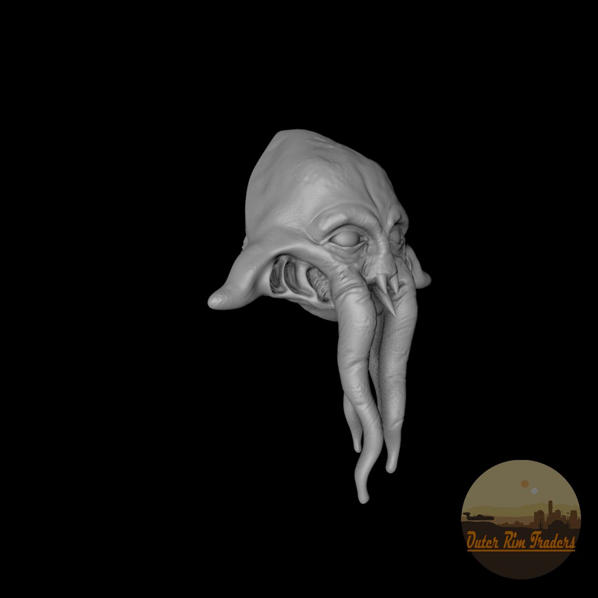 Image of Squid head #3