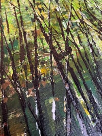 Image 4 of 'Ancient Woodland'