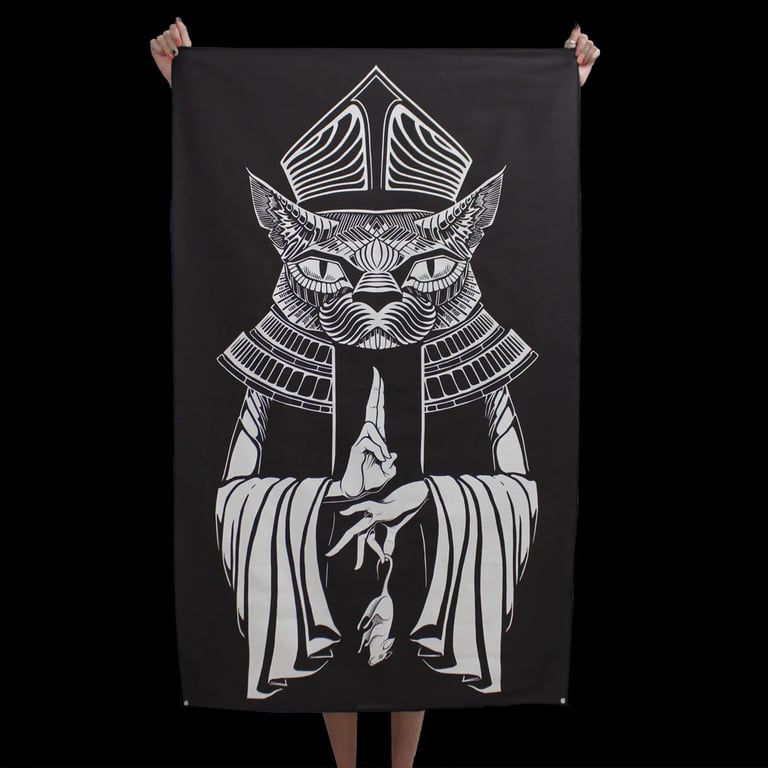 POPE CAT Image 5