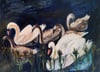 The Family of Swans 