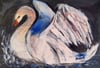 Landing Swan