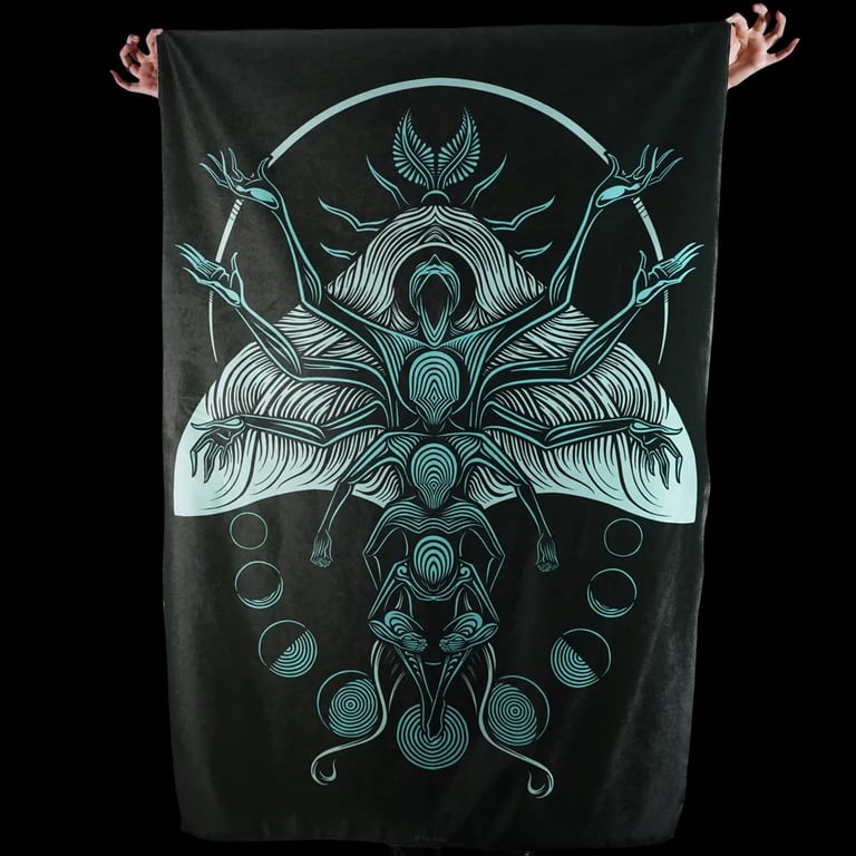 METAMORPHOSIS Image 4