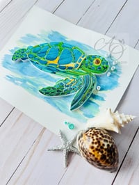 Image 1 of SHELLY THE TURTLE