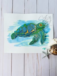Image 3 of SHELLY THE TURTLE
